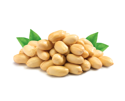Crispy Nuts