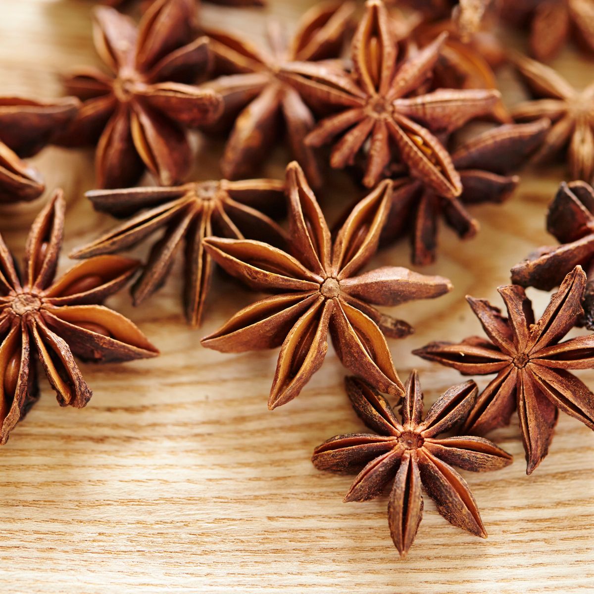Buy Star Anise from Zabak's, Amravati Online Foodwalas